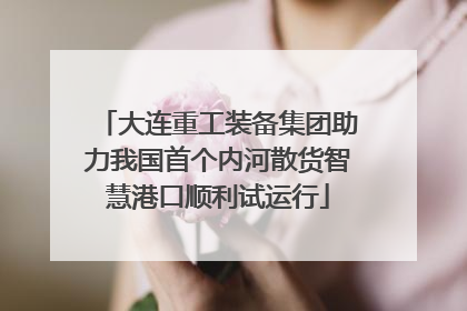 大连重工装备集团助力我国首个内河散货智慧港口顺利试运行